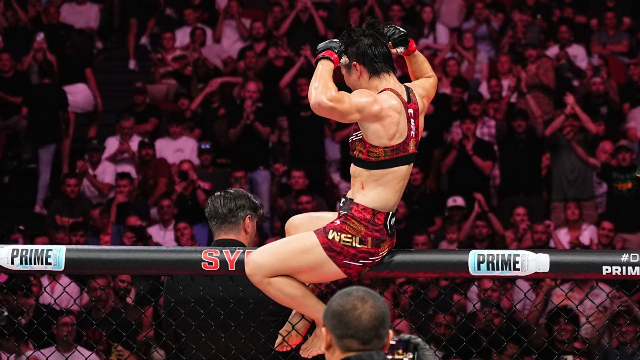 桑托斯注重 桑托斯注重